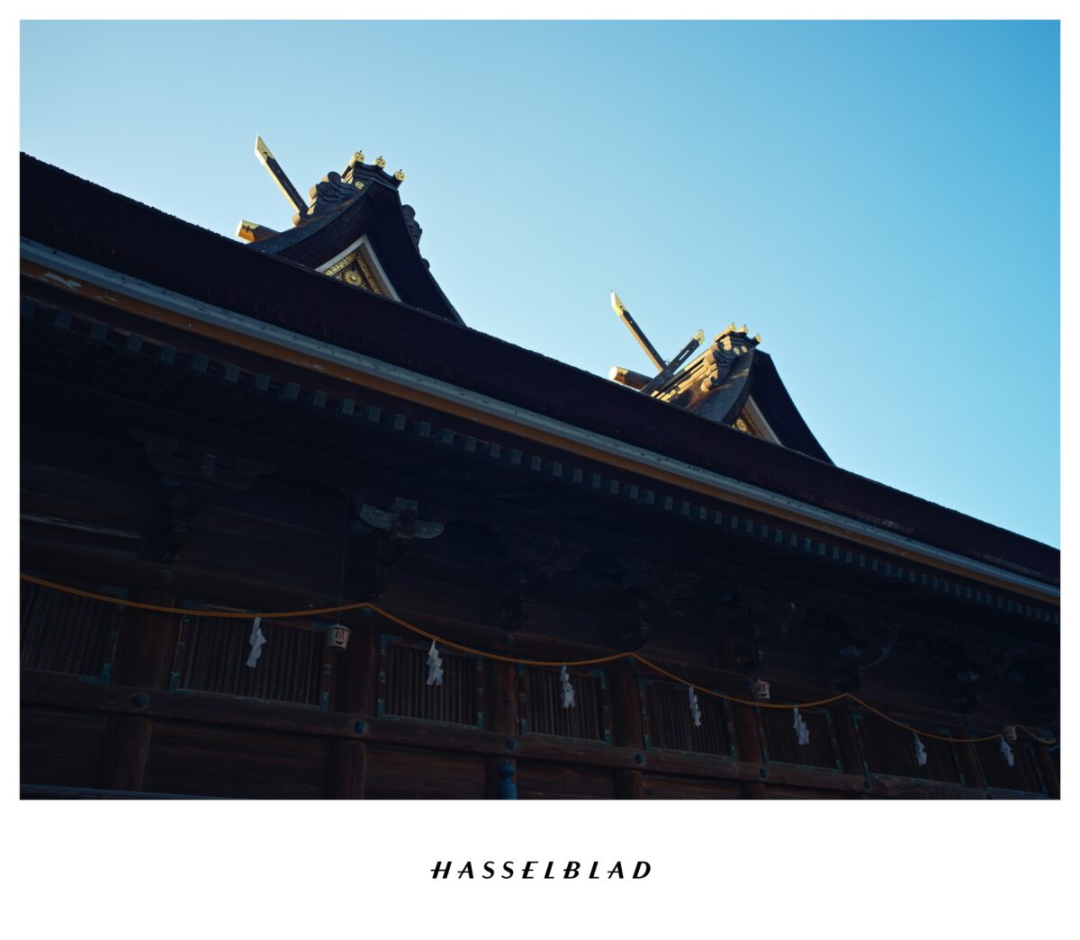 SWC/M × CFV 100C 作例