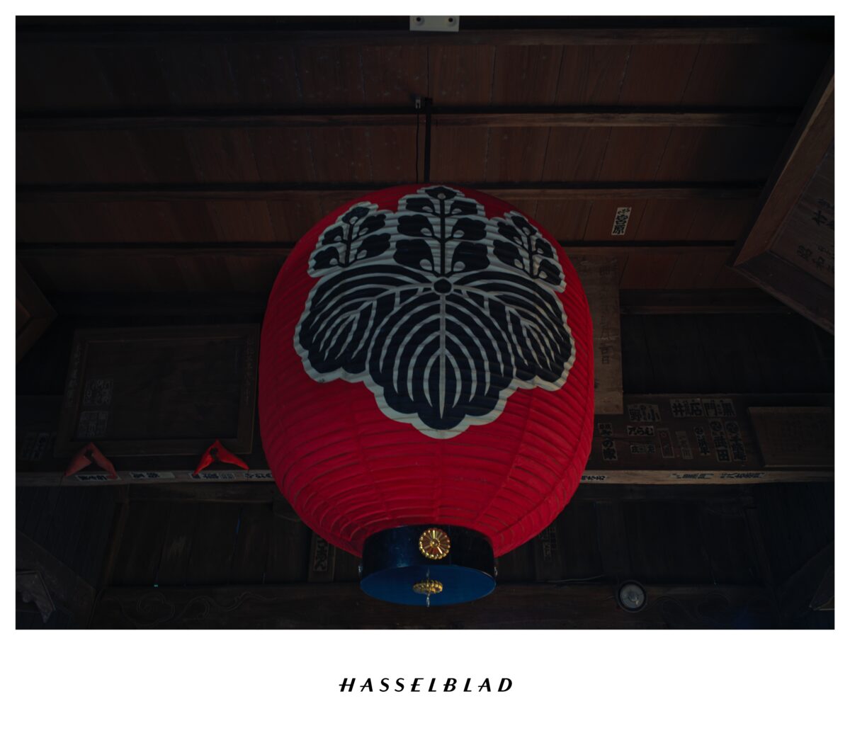 SWC/M × CFV 100C 作例