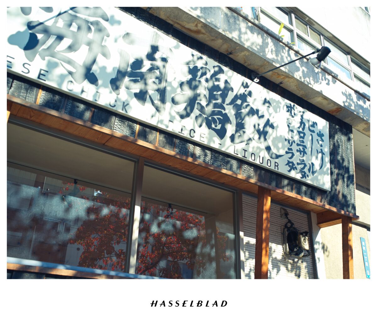 SWC/M × CFV 100C 作例