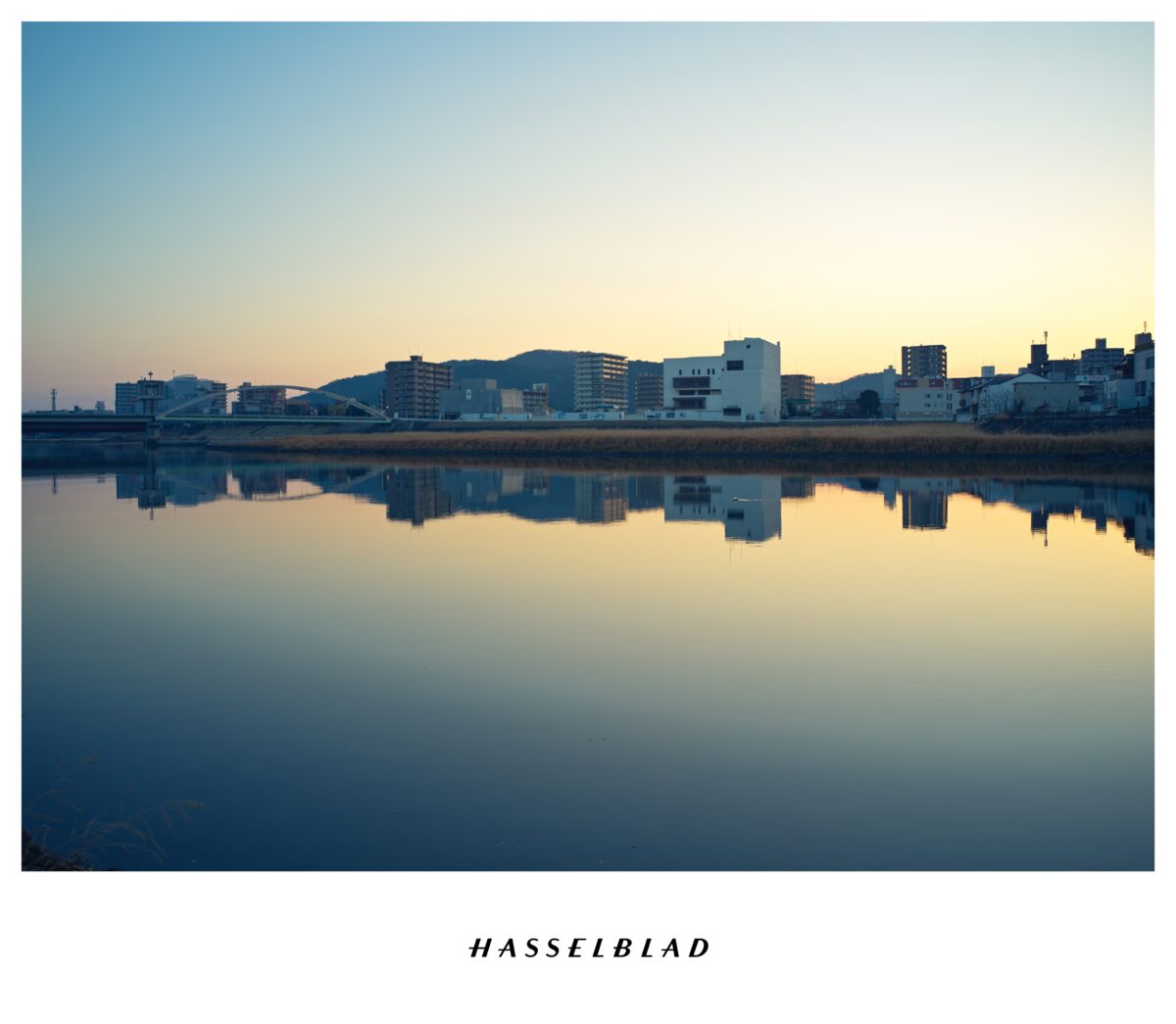 SWC/M × CFV 100C 作例