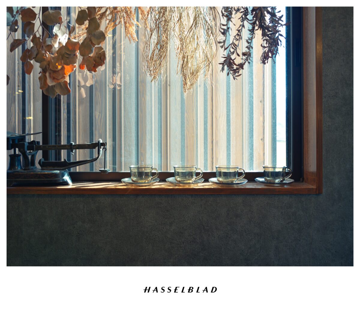 SWC/M × CFV 100C 作例