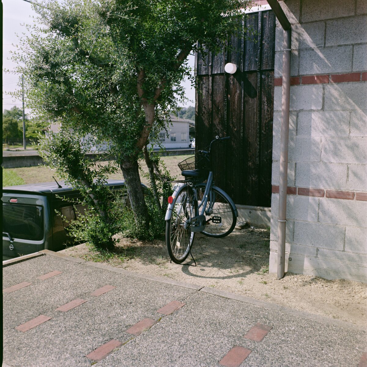 HASSELBLAD 503CXi × Lomography Color Negative 100