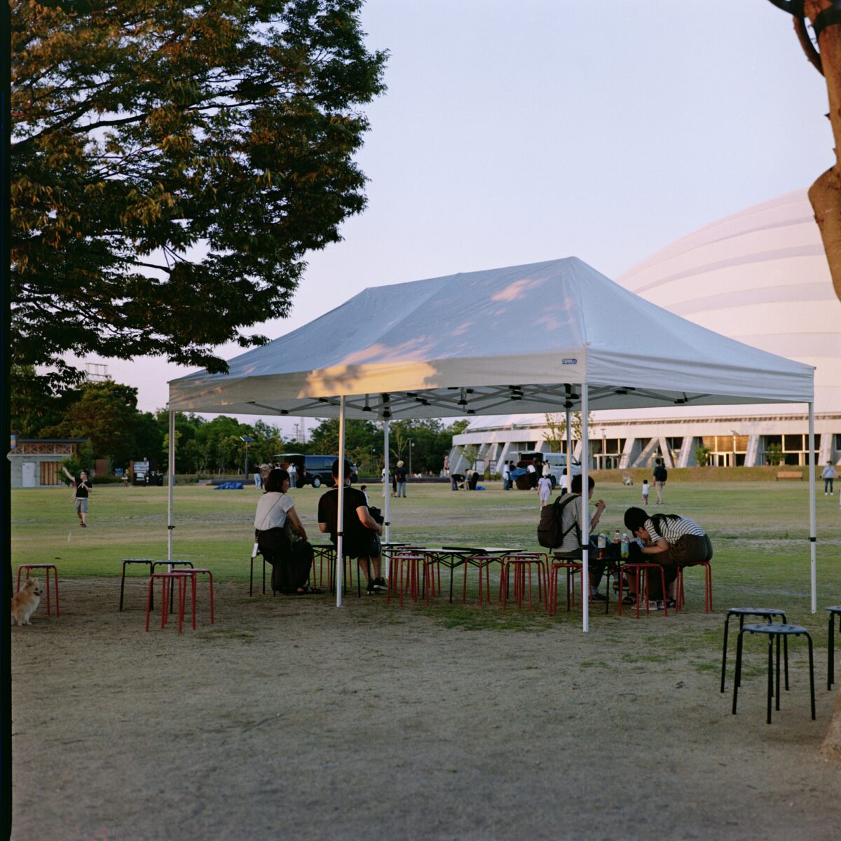 HASSELBLAD 503CXi × Lomography Color Negative 100