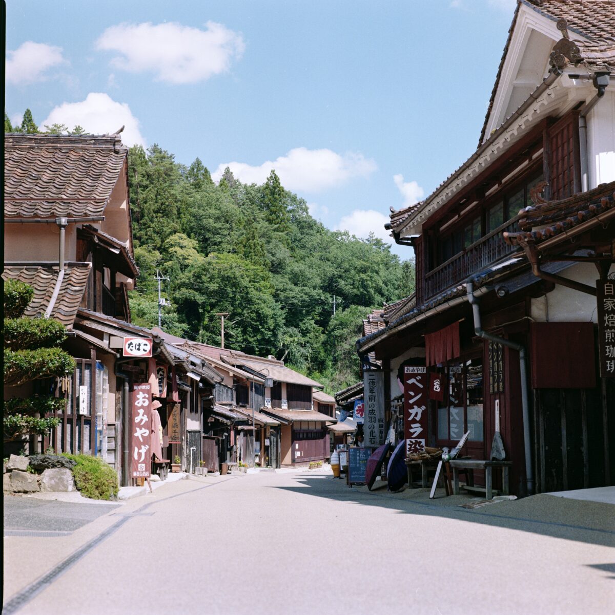 HASSELBLAD 503CXi × Lomography Color Negative 100